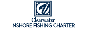 Clearwater Inshore Fishing Charter