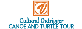 Cultural Outrigger Canoe and Turtle Tour