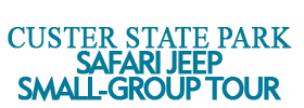 Custer State Park Safari Jeep Small-Group Tour