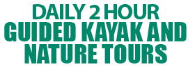 Daily 2 Hour Guided Kayak and Nature Tours