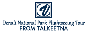 Denali National Park Flightseeing Tour from Talkeetna