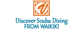 Discover Scuba Diving from Waikiki