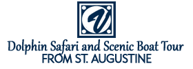 Dolphin Safari and Scenic Boat Tour from St. Augustine