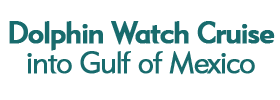 Dolphin Watch Cruise into Gulf of Mexico
