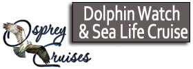 Dolphin Watch and Sea Life Cruise in South Padre Island, Texas