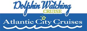 Dolphin Watching Cruise
