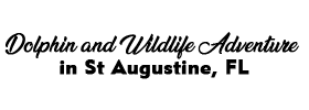 Dolphin and Wildlife Adventure 2022 Schedule