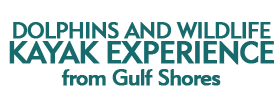 Dolphins and Wildlife Kayak Experience from Gulf Shores