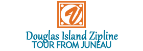 Douglas Island Zipline Tour from Juneau