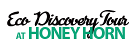 Eco Discovery Tour at Honey Horn (90 Minutes)