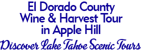 El Dorado County Wineries & Harvest Tour in Apple Hill