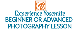 Experience Yosemite: Beginner Or Advanced Photography Lesson