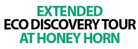 Extended Eco Discovery Tour at Honey Horn (2 Hours)
