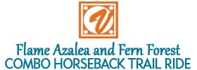 Horseback Riding at Arrowmont Stables