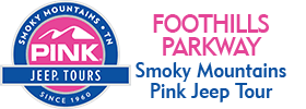 Foothills Parkway Smoky Mountains 3 Hour Pink Jeep Tour