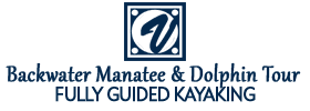 Fully Guided Kayaking Backwater Manatee and Dolphin Tour