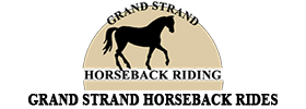 Grand Strand Myrtle Beach Horseback Rides On The Beach