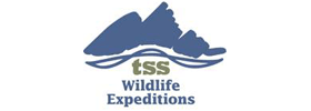 Grand Teton National Park Sunset Wildlife Expedition