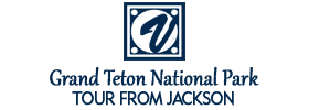 Grand Teton National Park Tour from Jackson