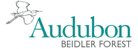 Guided Canoe Trips at the Audubon Center
