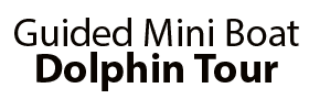 Guided Mini Boat Dolphin Tour
