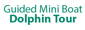 Guided Mini Boat Dolphin Tour