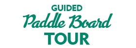 Guided Paddle Board Tour