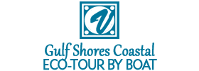 Gulf Shores Coastal Eco-Tour by Boat