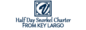 Half Day Snorkel Charter from Key Largo