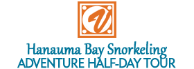 Hanauma Bay Snorkeling Adventure Half-Day Tour