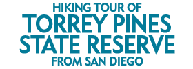 Hiking Tour of Torrey Pines State Reserve from San Diego