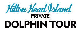 Hilton Head Island Private Dolphin Tour 2022 Schedule