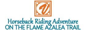 Horseback Riding at Arrowmont Stables