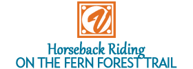 Horseback Riding on the Fern Forest Trail