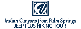 Indian Canyons by Jeep Plus Hiking Tour from Palm Springs