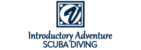 Introductory Scuba Diving Adventure