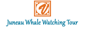 Juneau Whale Watching Tour