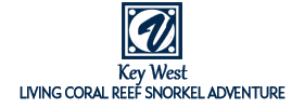 Key West Living Coral Reef Snorkel Adventure