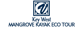 Key West Mangrove Kayak Eco Tour