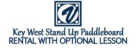 Key West Stand Up Paddleboard Rental with Optional Lesson