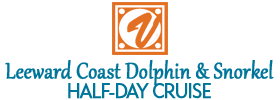 Leeward Coast Dolphin and Snorkel Half-Day Cruise