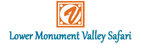 Lower Monument Valley Safari