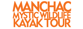 Manchac Mystic Wildlife Kayak Tour
