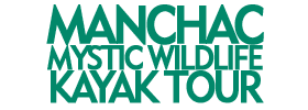 Manchac Mystic Wildlife Kayak Tour
