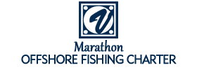 Marathon Offshore Fishing Charter