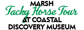 Marsh Tacky Horse Tour at Coastal Discovery Museum