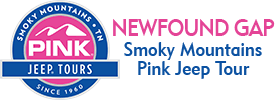 Newfound Gap Smoky Mountains 3 Hour Pink Jeep Tour