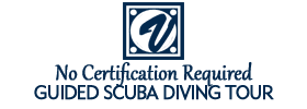No Certification Required Guided Scuba Diving Tour