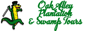 Oak Alley Plantation & Swamp Tours