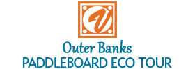 Outer Banks Paddleboard Eco Tour